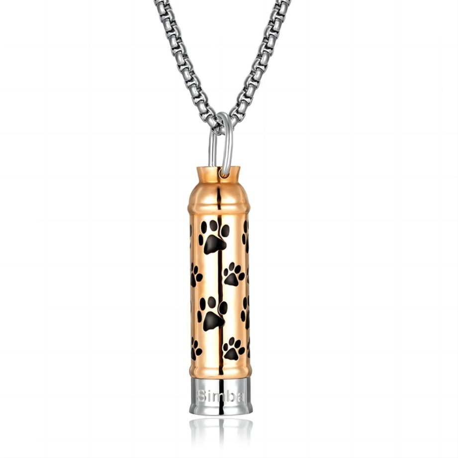 Collier avec Pendentif en Acier Titane Personnalosé avec Lettre pour Cendres d'Animaux de Compagnie
