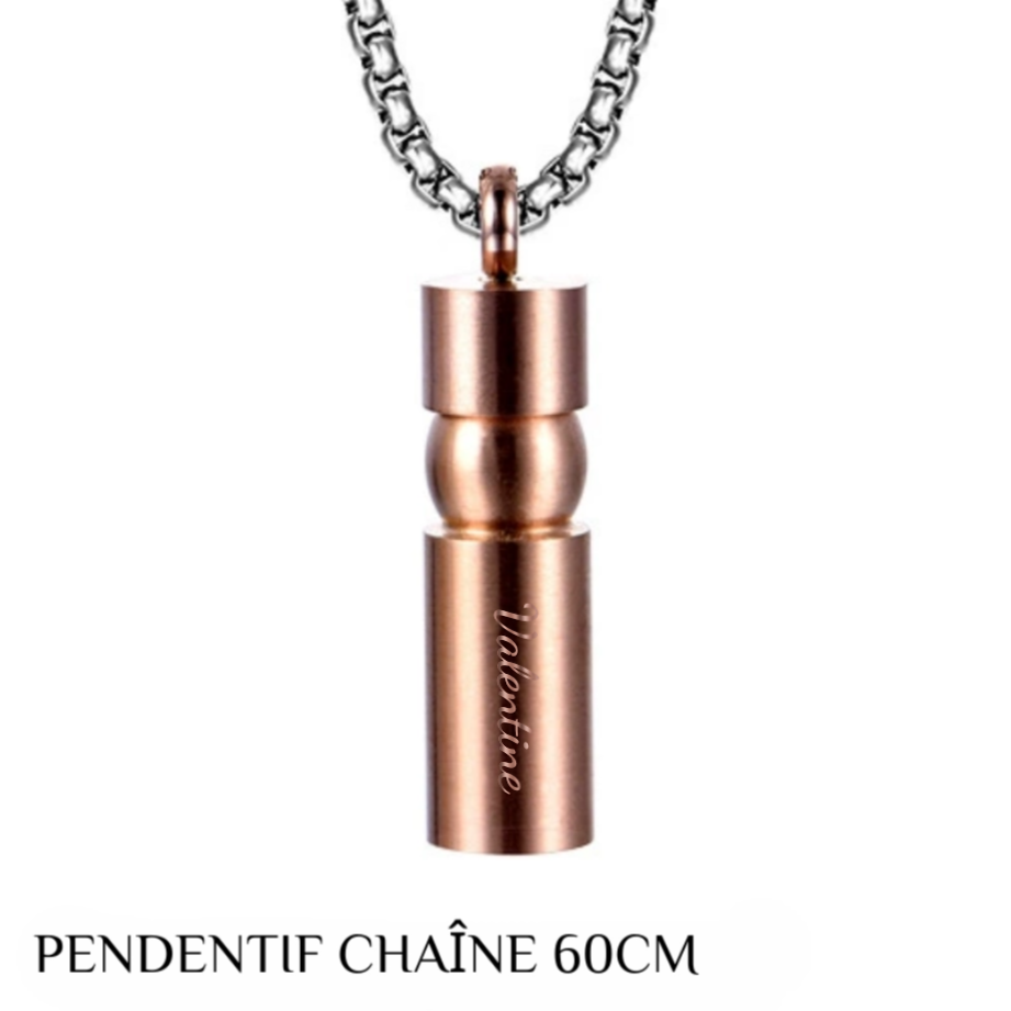 Collier avec Pendentif en Acier Titane Personnalosé avec Nom pour Cendres d'Animaux de Compagnie