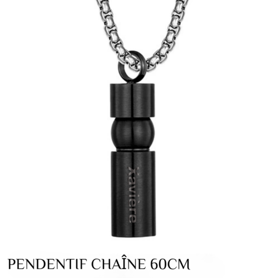 Collier avec Pendentif en Acier Titane Personnalosé avec Nom pour Cendres d'Animaux de Compagnie