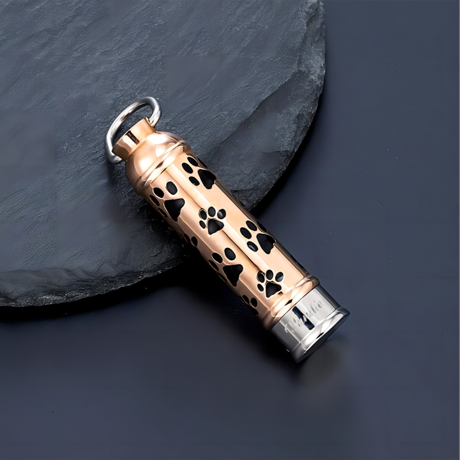 Collier avec Pendentif en Acier Titane Personnalosé avec Lettre pour Cendres d'Animaux de Compagnie