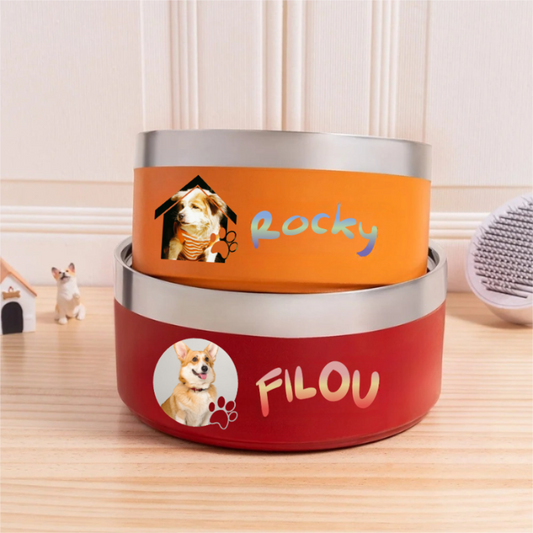 Bol Antidérapant Personnalisé en Inox avec Photo et Nom Cadeau pour Animal