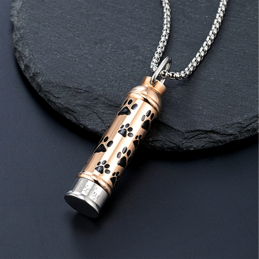 Collier avec Pendentif en Acier Titane Personnalosé avec Lettre pour Cendres d'Animaux de Compagnie