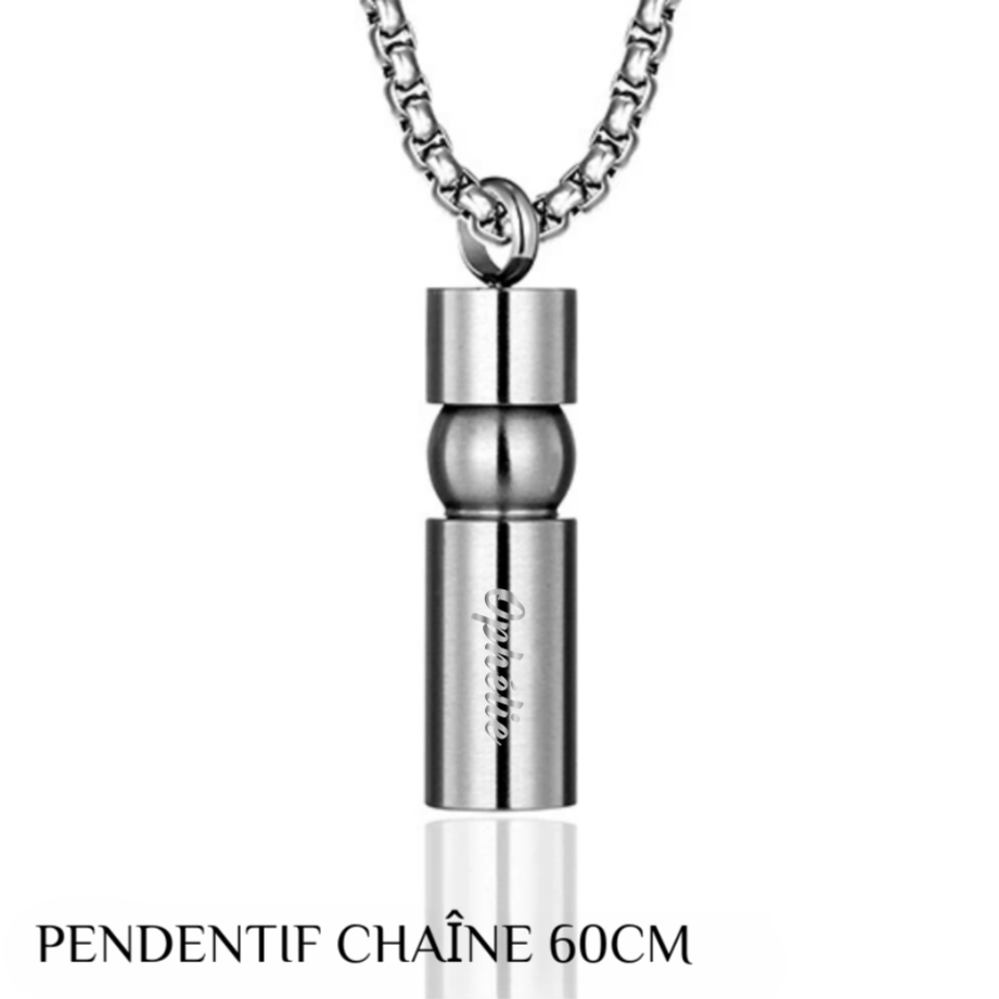 Collier avec Pendentif en Acier Titane Personnalosé avec Nom pour Cendres d'Animaux de Compagnie