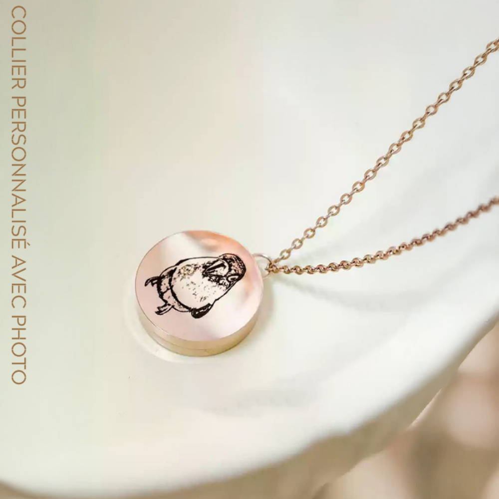 Collier Personnalisé Pour Animaux de Compagnie avec Photo pour Souvenir