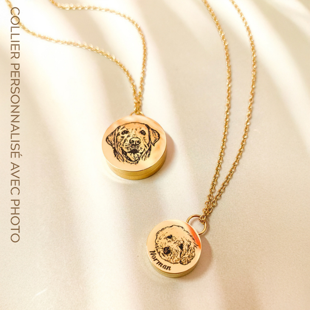 Collier Personnalisé Pour Animaux de Compagnie avec Photo pour Souvenir