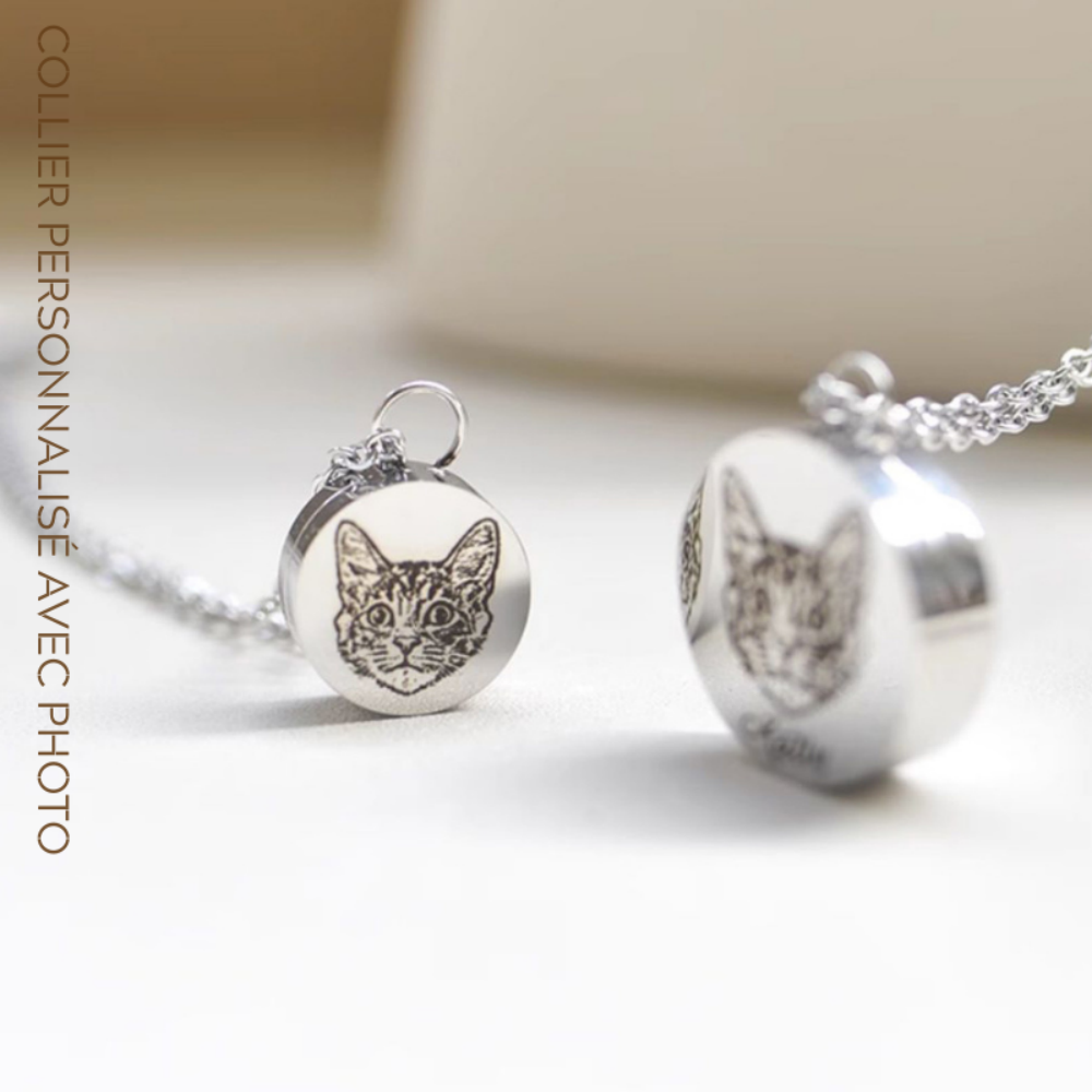 Collier Personnalisé Pour Animaux de Compagnie avec Photo pour Souvenir