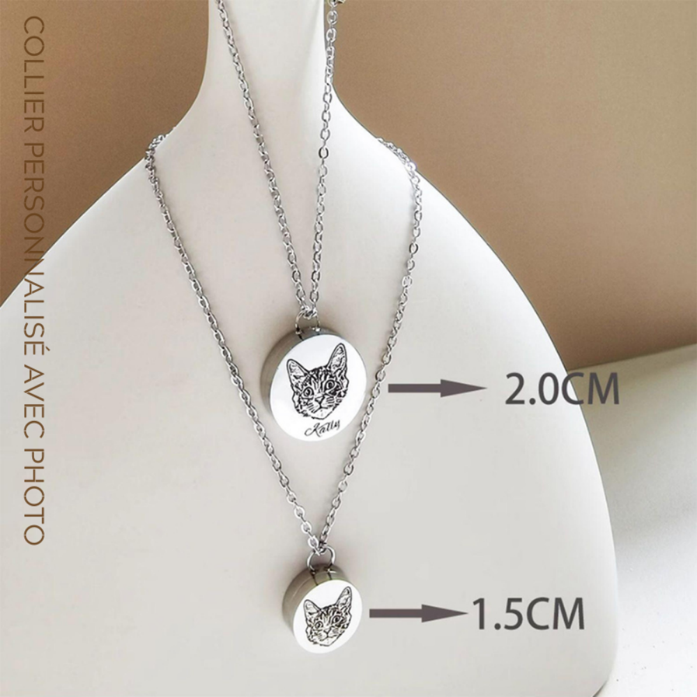 Collier Personnalisé Pour Animaux de Compagnie avec Photo pour Souvenir