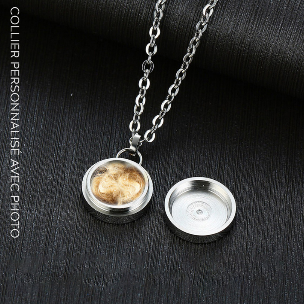 Collier Personnalisé Pour Animaux de Compagnie avec Photo pour Souvenir