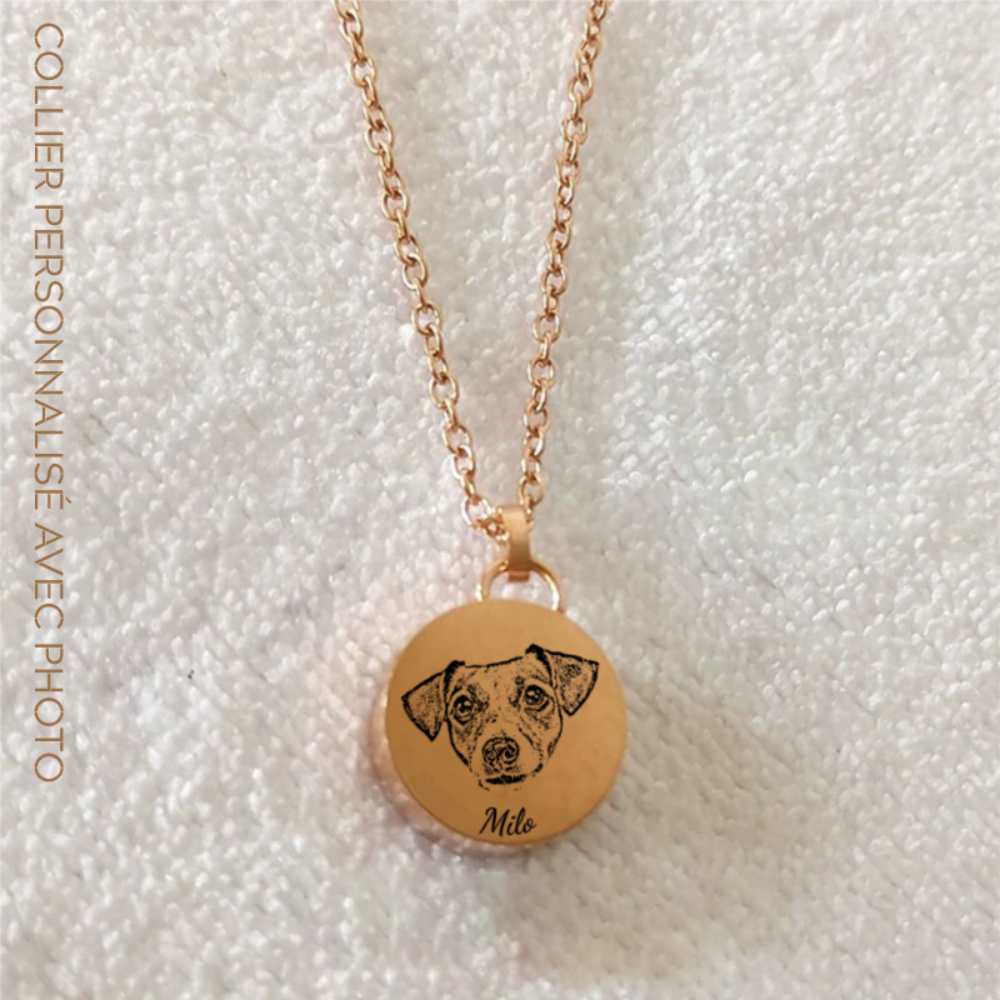 Collier Personnalisé Pour Animaux de Compagnie avec Photo pour Souvenir