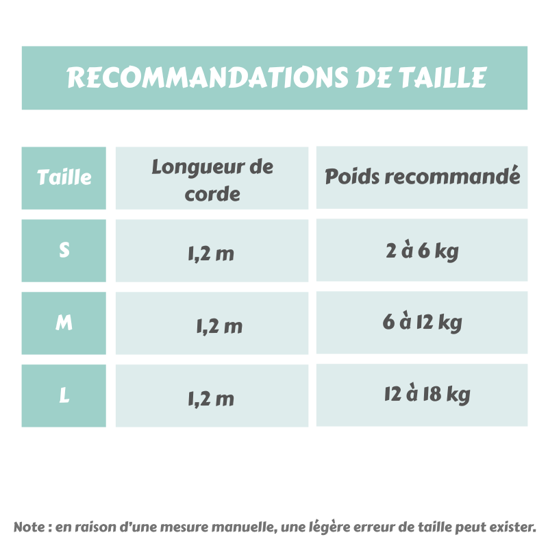 Harnais ajustable personnalisé avec nom brodé pour animal de compagnie