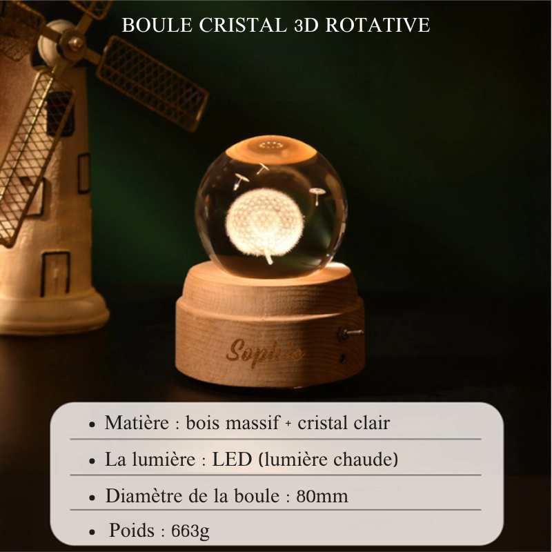 Boîte à Musique Rotative Boule de Cristal Personnalisée avec Nom Cadeau Anniversaire