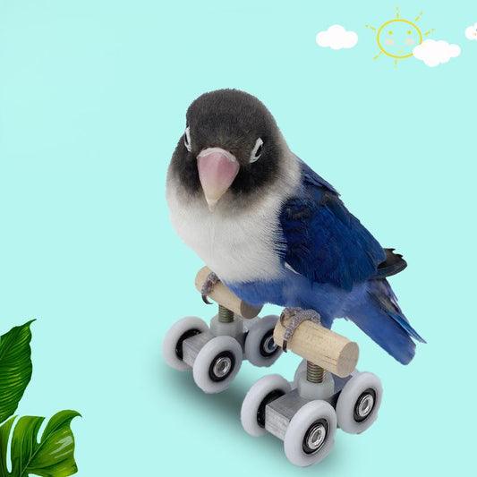 Jouet pour Oiseaux avec Roulettes Patins à  Roulettes Pour Perroquets  Personnalisé avec Lettre Gravé