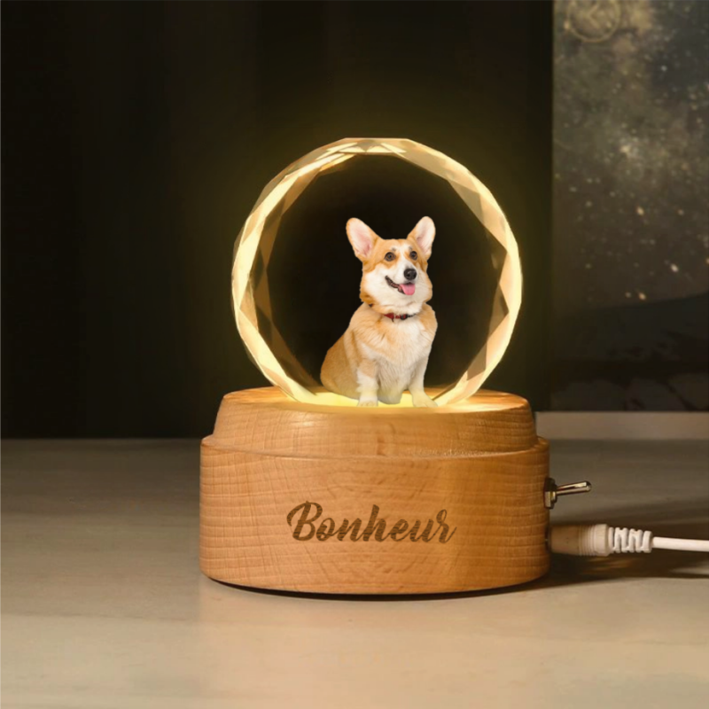 Boîte à Musique Rotative Boule de Cristal Personnalisée avec Photo