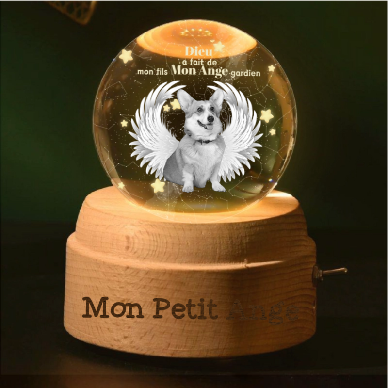 Boule de Cristal Rotative Personnalisée en Mémoire de Votre Enfant