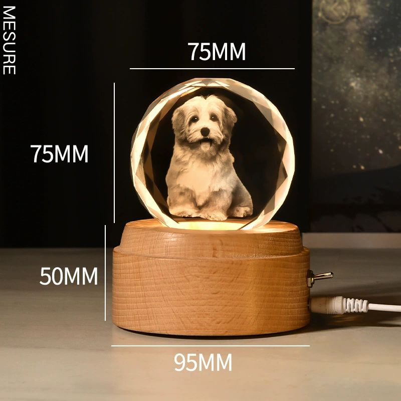 Boîte à Musique Rotative Boule de Cristal Personnalisée avec Photo