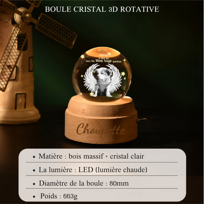 Boule de Cristal Musicale Personnalisée en Mémoire de Votre Ange Gardien