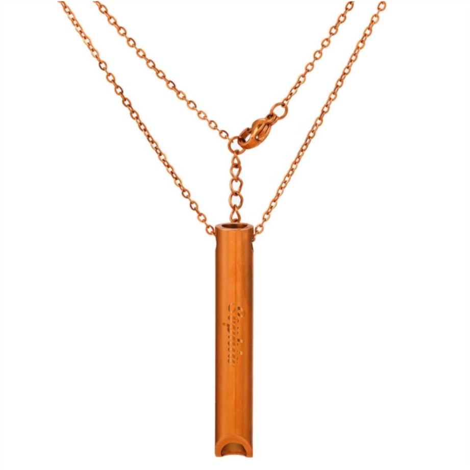 Collier avec Pententif Sifflet en Acier Inoxydable Pour Passionnés du sport et méditation