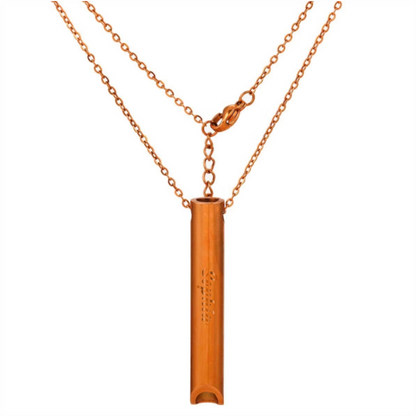 Collier avec Pententif Sifflet en Acier Inoxydable Pour Passionnés du sport et méditation