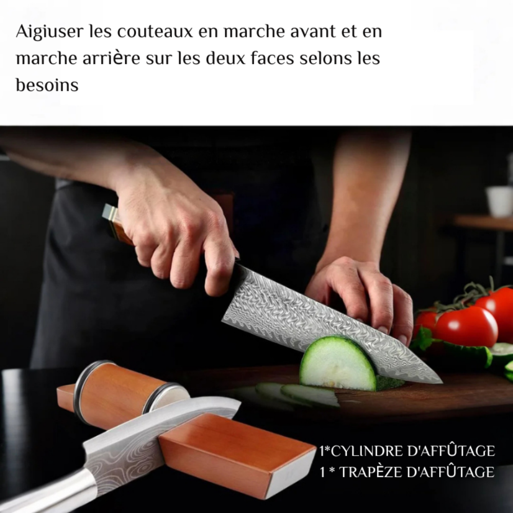 Aiguiseur de Couteaux en Disques Diamantés Pierre à Aiguiser à Rouler