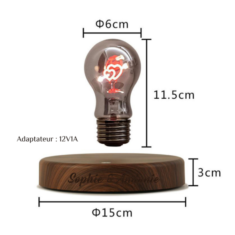 Ampoule Magnétique à Levitation Lampe Cadeau Créatif et Personnalisé pour Saint-Valentin
